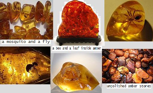 Amber Gemstone